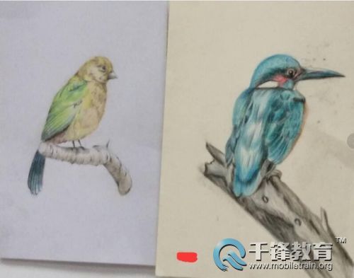 千锋UI学员手绘作品