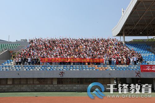 图片12
